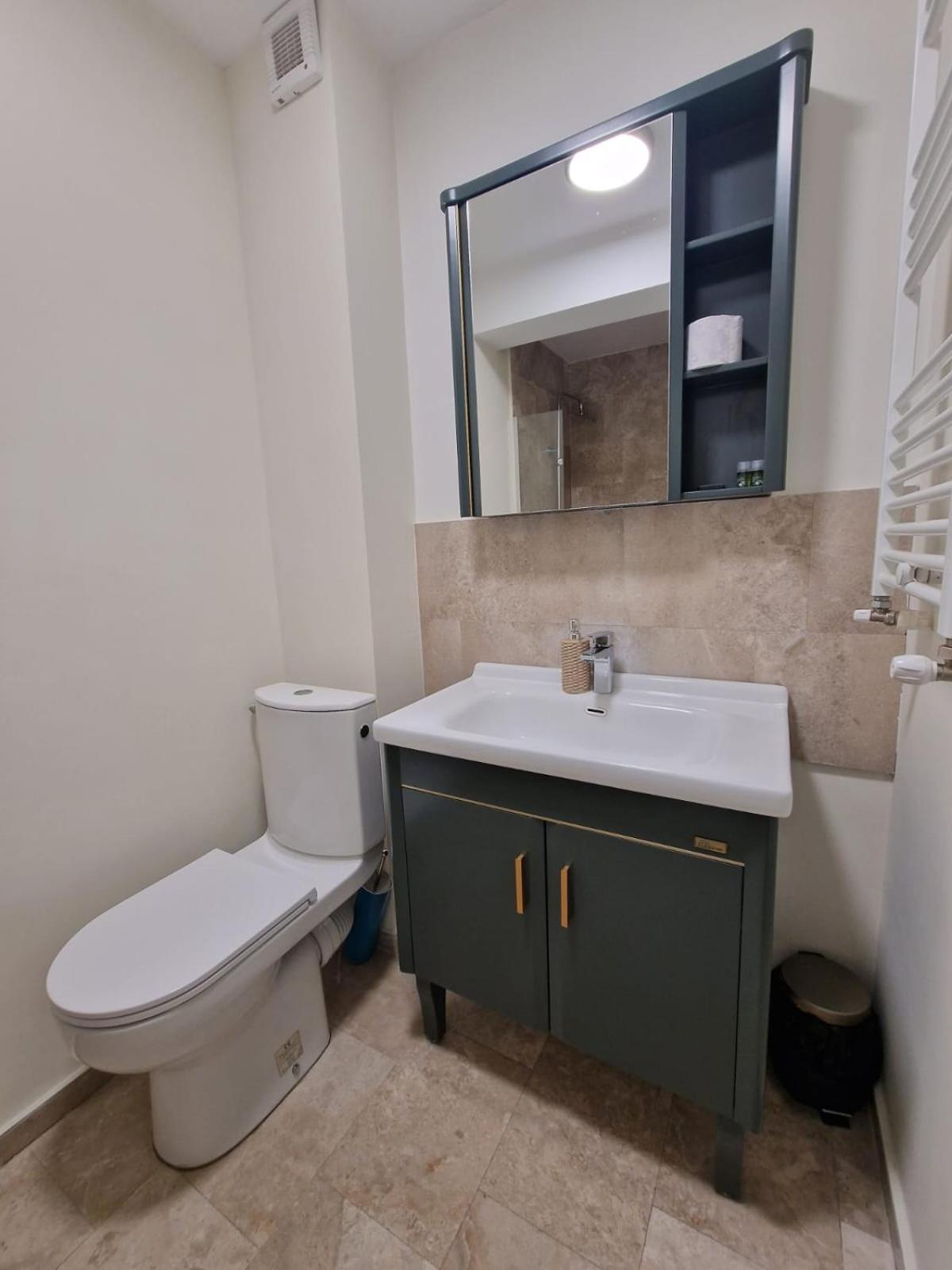 Albert Hotel Roşu Extérieur photo