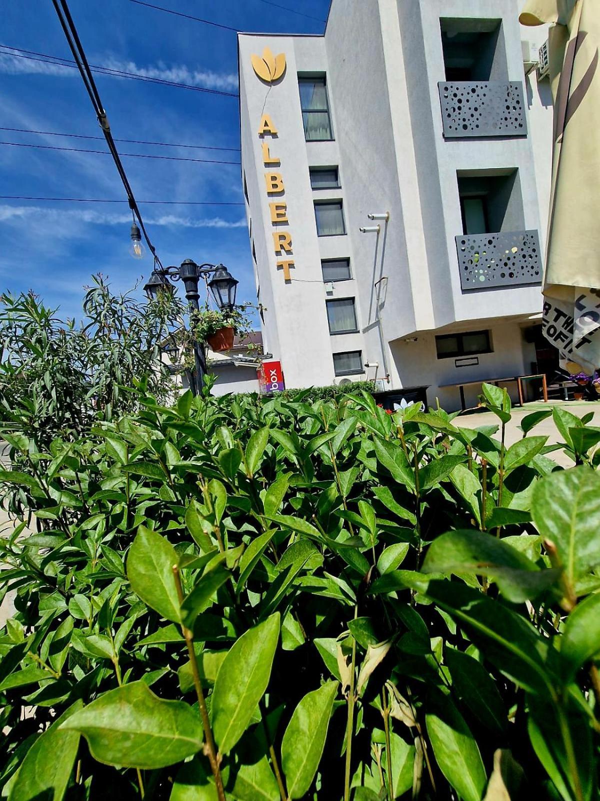 Albert Hotel Roşu Extérieur photo